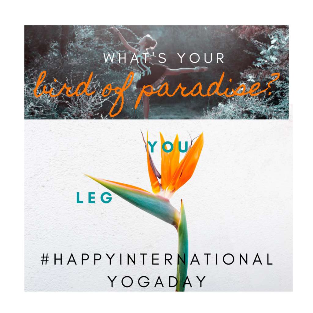 bird of paradise is a mind challenging yoga pose you can try today or on Yoga International Day!