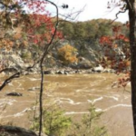 great falls