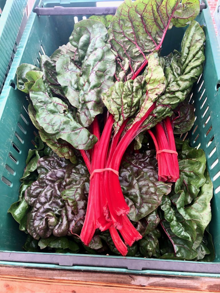 Temporary upper gut issues can often be helped with alkalizing foods like swiss chard here and other veggies.