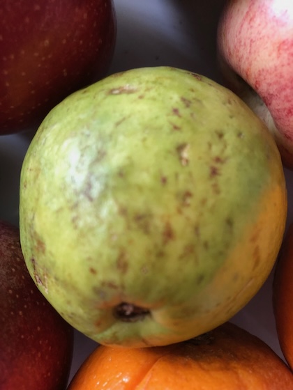 This guava fruit for guava juice is the size of a lime but is bumpy and lighter green.