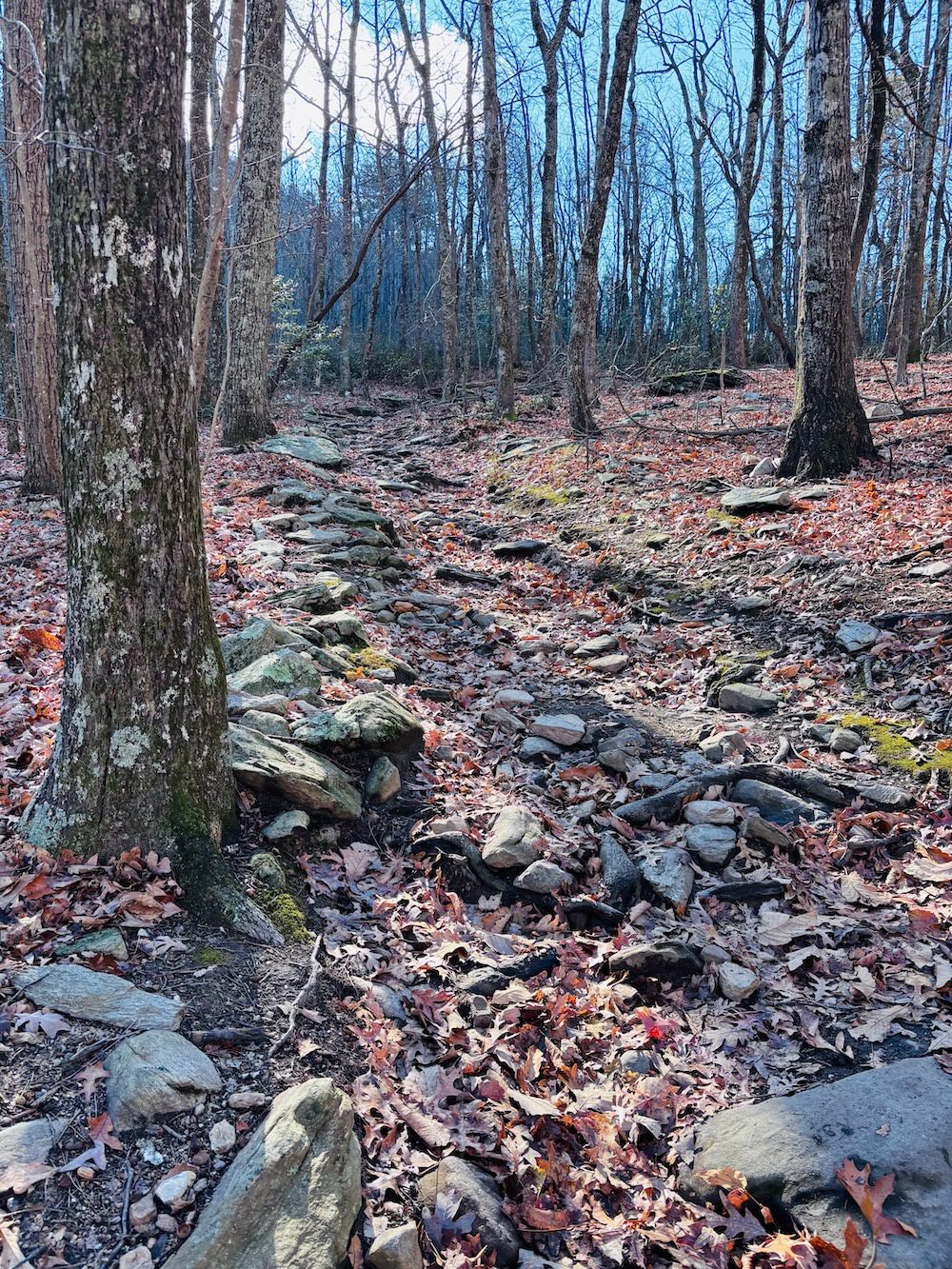 How to Pack for Hiking to prepare for rocky trails.