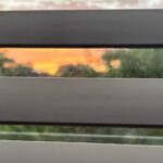 sunrise circadian rhythm